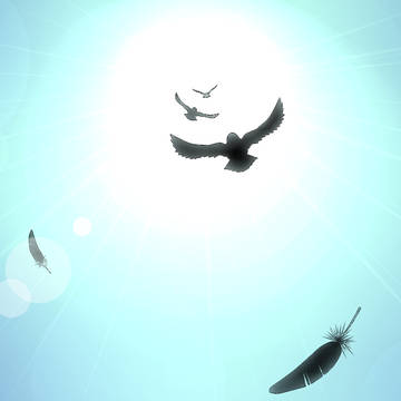 翼を持つ者たち