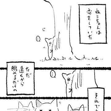 ねこちゃんとこい