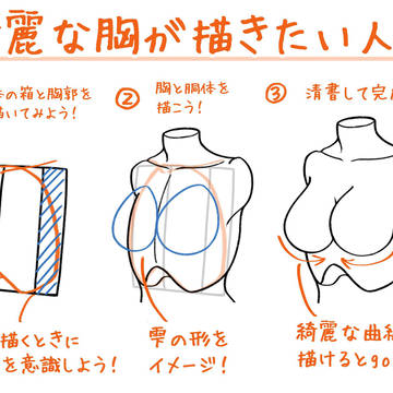 綺麗な胸が描きたい人へ