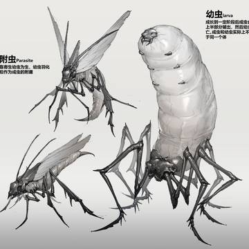 幼虫&附虫