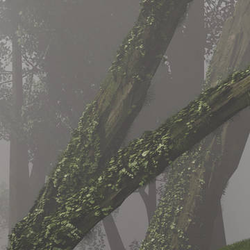 random 3