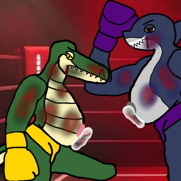 Alligator vs Shark