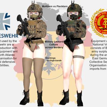 Federal vs Democratic Republics