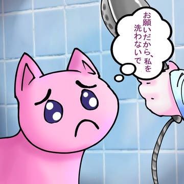 p-chan