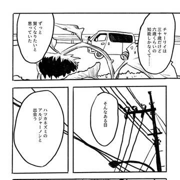 Page 21 thumbnail