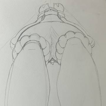 真下から見たエースバーン(落書き)