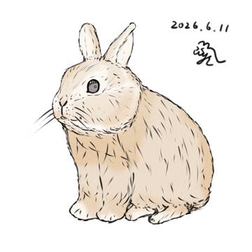 うさぎ