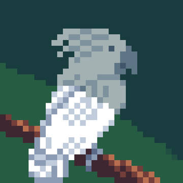 オウム