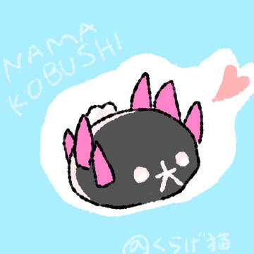 リクエストいただいたナマコブシちゃんです!