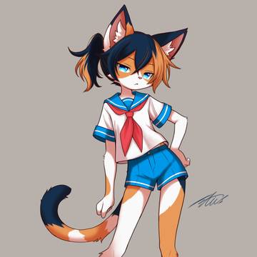 三毛猫の桜木 白くん
