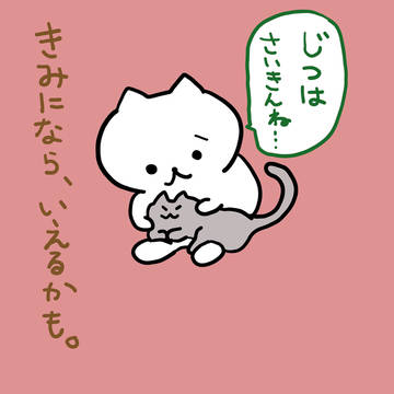 お悩み猫 cat in distress