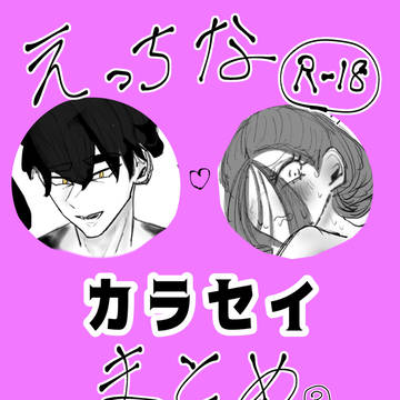 えっちなカラセイまとめ③