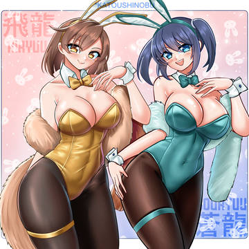 飛龍と蒼龍🐰🐰