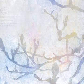 『 moment1 〜白木蓮〜 』