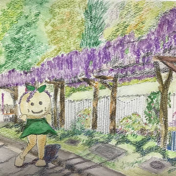ふじまつり　豊田市藤岡地区
