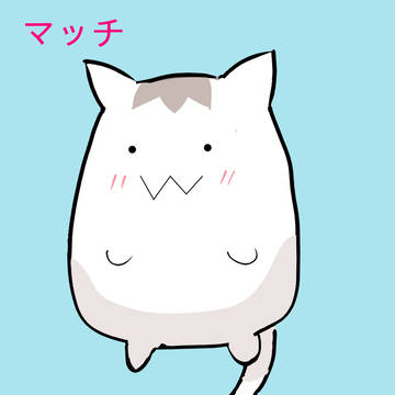 きらファンのマッチ