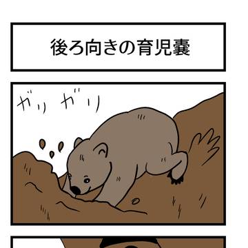 後ろ向きの育児嚢