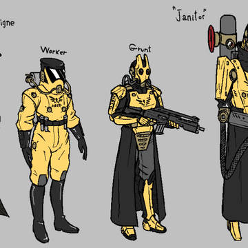 HECG designs