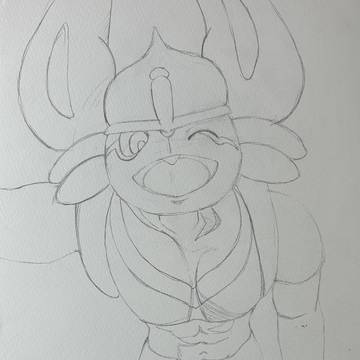 上から見たエースバーン(落書き)