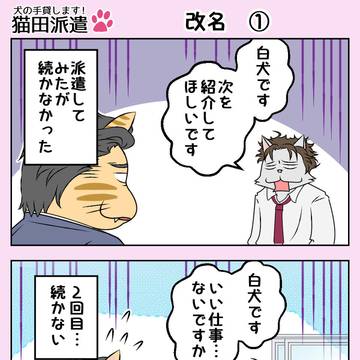 猫田派遣　第31話　「改名」