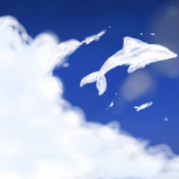 空のイルカ