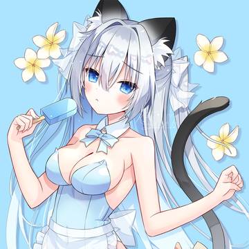 🐱🩵