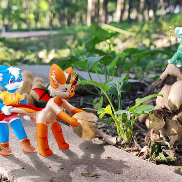Let's pick mushrooms together~