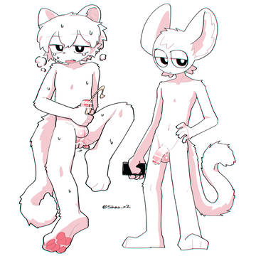shao_x2
