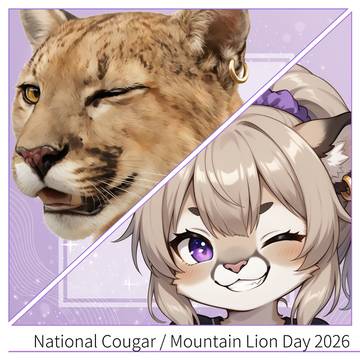Happy Mountain Lion Day 2026!