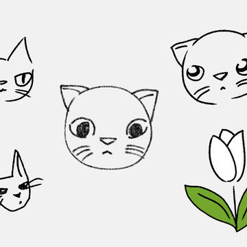 猫