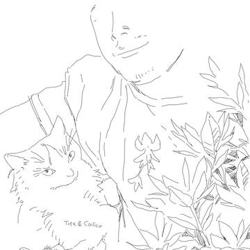 Doodles
