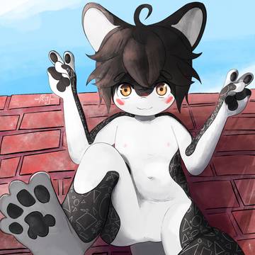 FurCom
