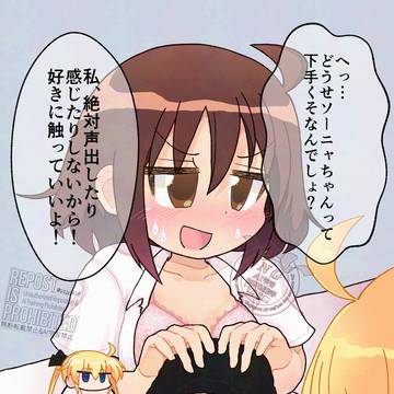 ソニャやす