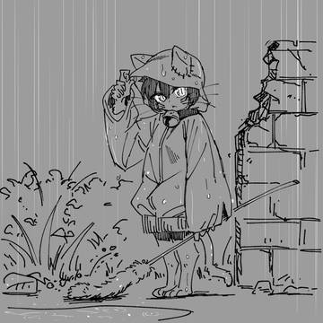 雨猫