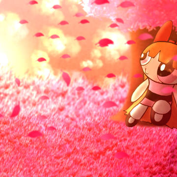 Blossoms