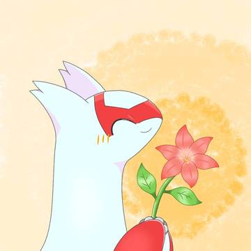 グラシデアの花