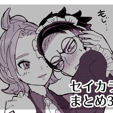 セイカラまとめ3