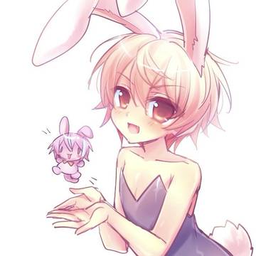 🐰🐰