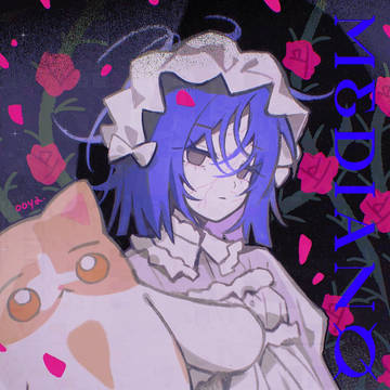 ⚰️🐈