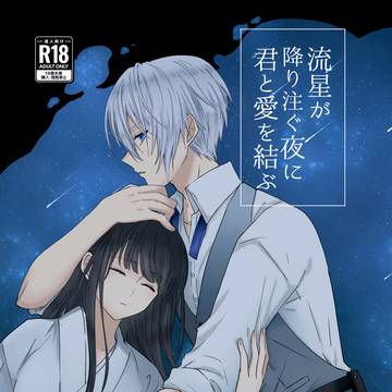 【WEB再録】流星が降り注ぐ夜に君と愛を結ぶ【R18】