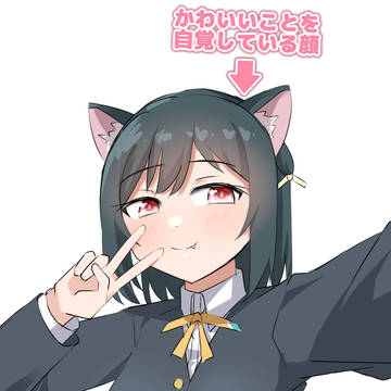 🔖🐱