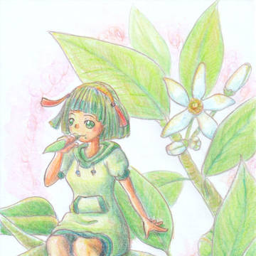 あげはちゃん(幼5)