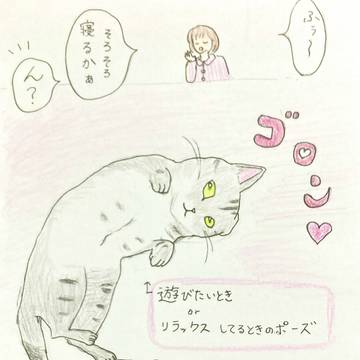 もう寝ちゃうの〜？