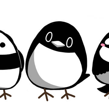 テイコウペンギンFA