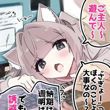 邪魔してくる飼い猫