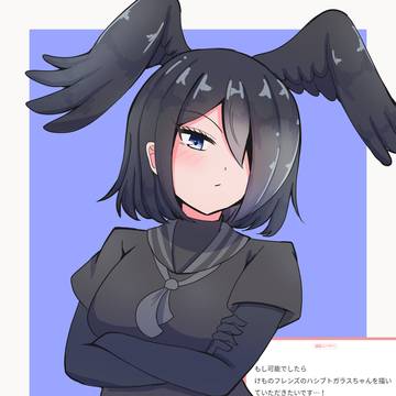 ハシブトガラスちゃん!