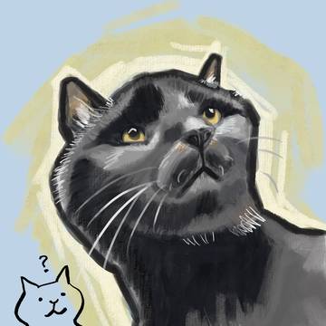 黒猫