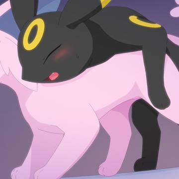 ブラッキー♂×エーフィ♀