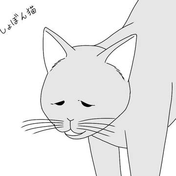 しょぼん猫