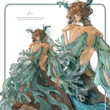 苔蕨生│鹿角蕨